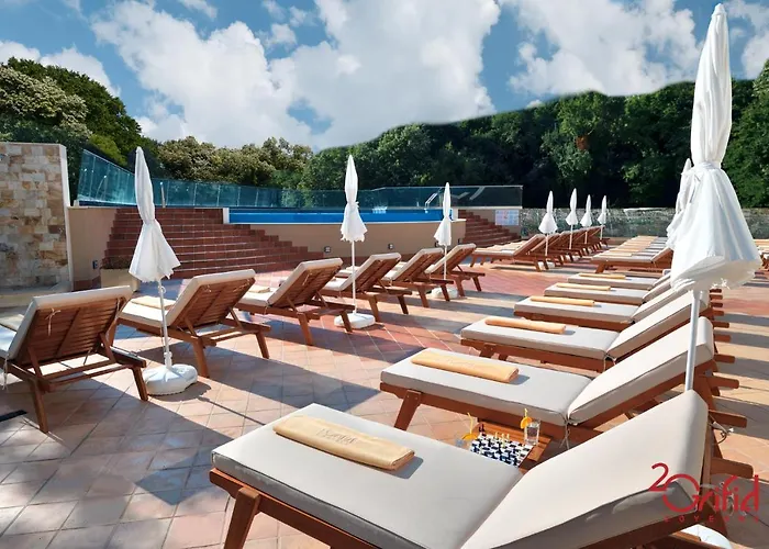 Grifid Foresta (adults Only) 3*