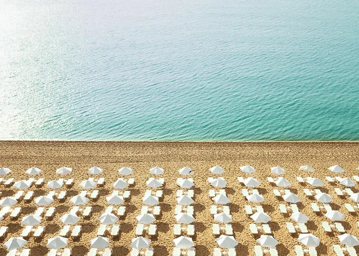 호텔 Grifid Foresta (adults Only)